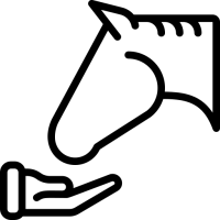 cheval (1)