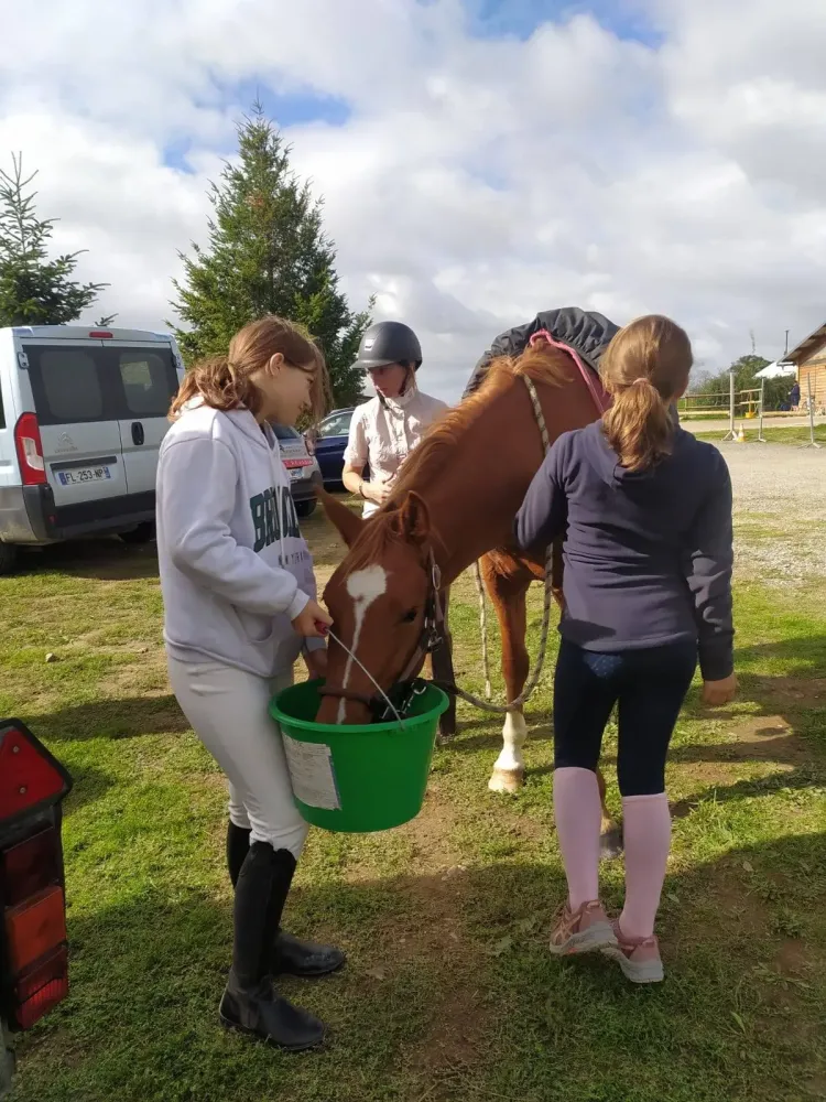 Stages d'équitation à Lussat